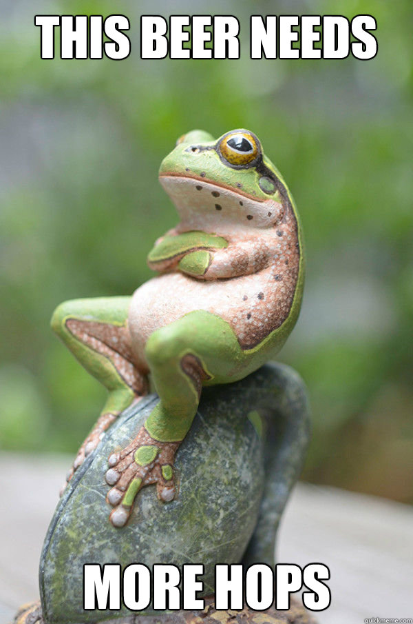 this beer needs more hops caption 3 goes here - unimpressed frog