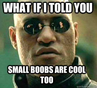 what if i told you small boobs are cool too - Matrix Morpheus