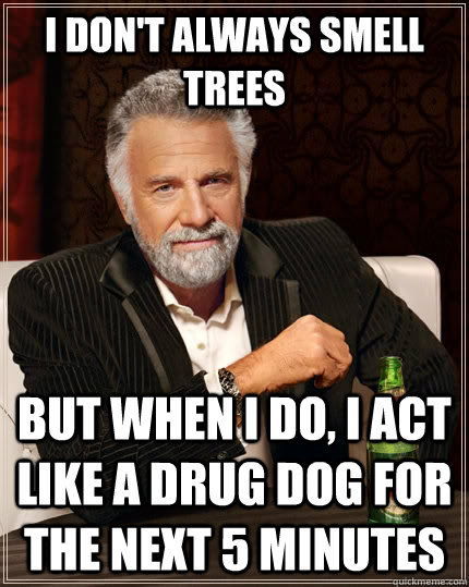 i dont always smell trees but when i do i act like a drug - The Most Interesting Man In The World