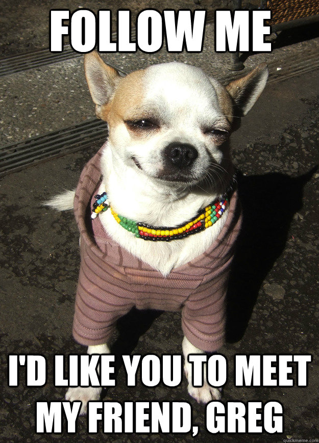 follow me id like you to meet my friend greg - GGGs Dog