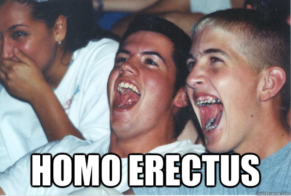 homo erectus - Immature High Schoolers