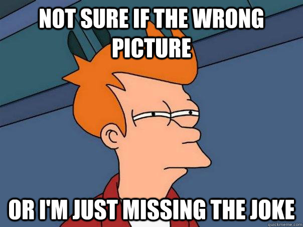 not sure if the wrong picture or im just missing the joke - Futurama Fry