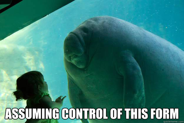 assuming control of this form - Overlord Manatee