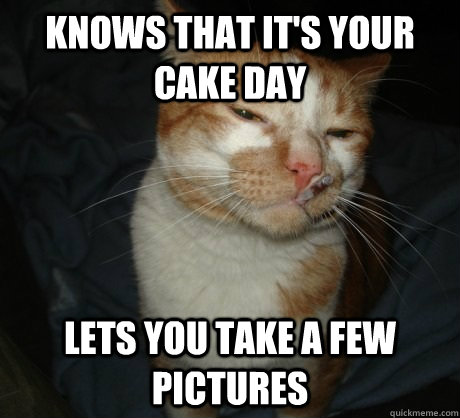 knows that its your cake day lets you take a few pictures - good cat greg