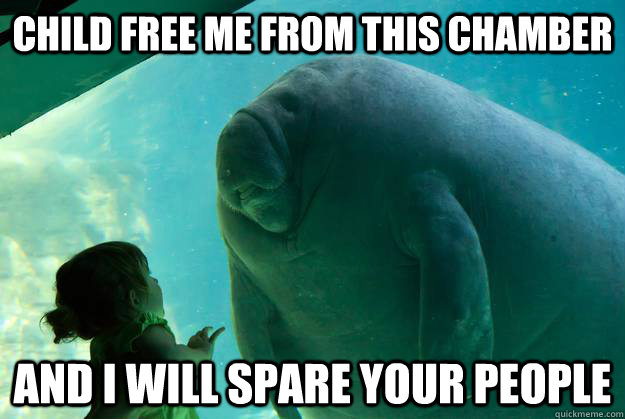 child free me from this chamber and i will spare your people - Overlord Manatee