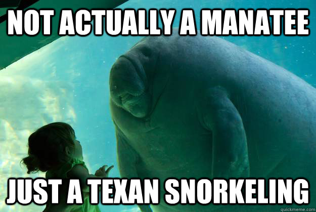 not actually a manatee just a texan snorkeling - Overlord Manatee