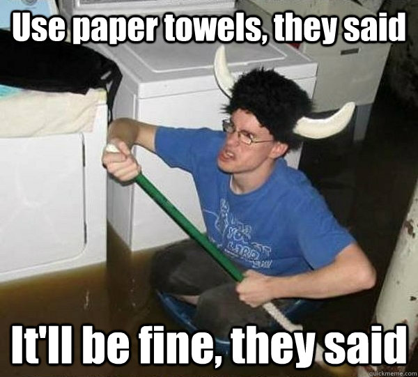 use paper towels they said itll be fine they said - They said