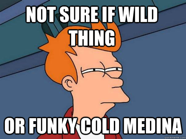 not sure if wild thing or funky cold medina - Futurama Fry