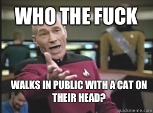 Who the fuck Walks in public with a cat on their head - Annoyed Picard