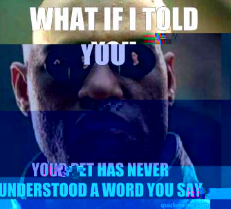 what if i told you your pet has never understood a word you - Matrix Morpheus