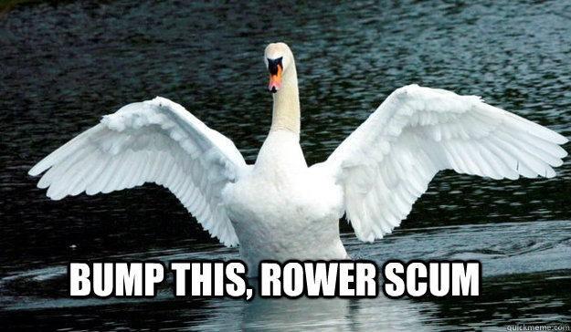 bump this rower scum - Asbo Swan
