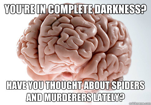 youre in complete darkness have you thought about spiders - Scumbag Brain