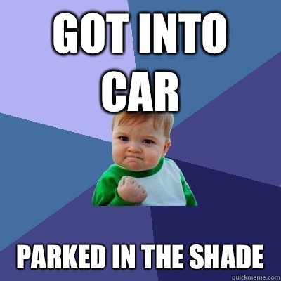 Got into car Parked in the shade - Success Kid