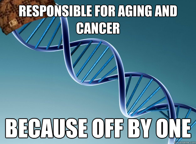 responsible for aging and cancer because off by one - Scumbag Genetics