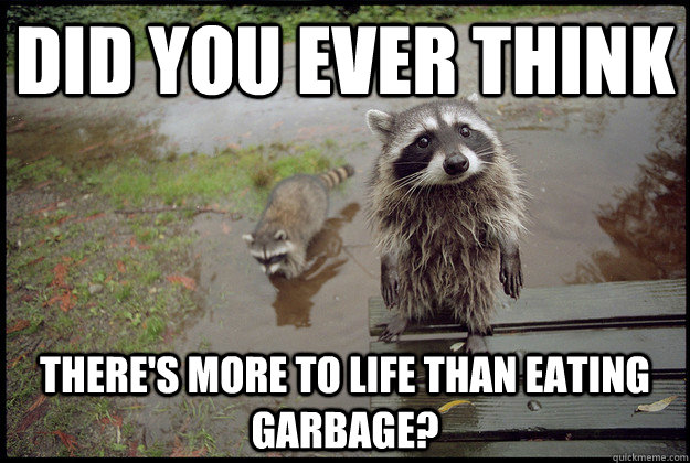did you ever think theres more to life than eating garbage - Reality Raccoon
