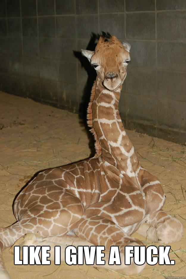 like i give a fuck - giraffe