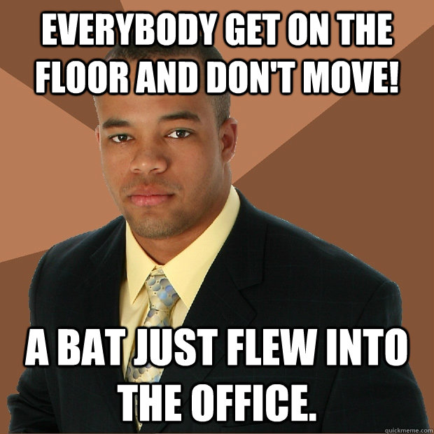 everybody get on the floor and dont move a bat just flew i - Successful Black Man