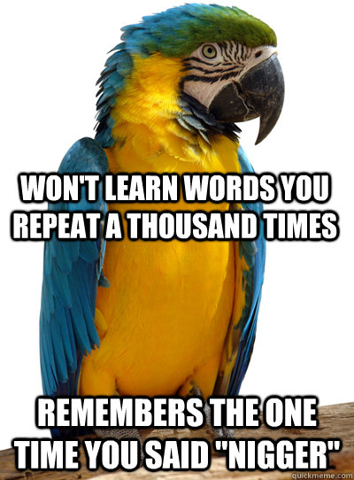 remembers the one time you said nigger wont learn words y - Scumbag Pet Parrot