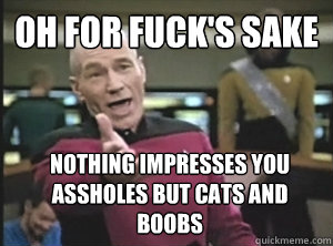 oh for fucks sake nothing impresses you assholes but cats a - Annoyed Picard