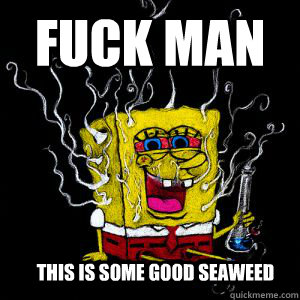 Seaweed Spongebob