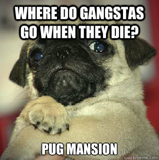 where do gangstas go when they die pug mansion - SMUG PUG
