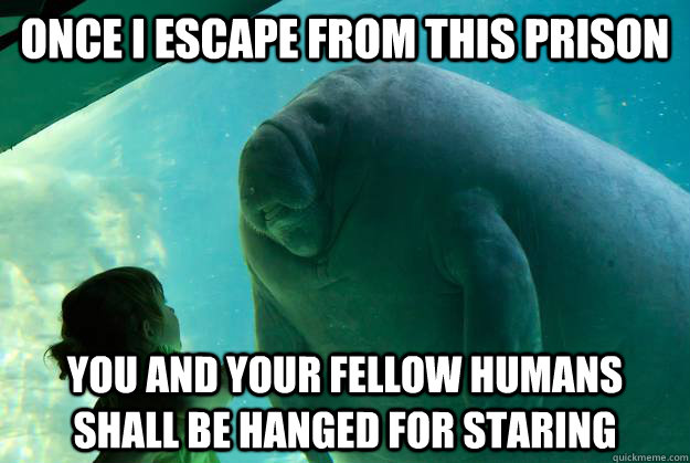 once i escape from this prison you and your fellow humans sh - Overlord Manatee