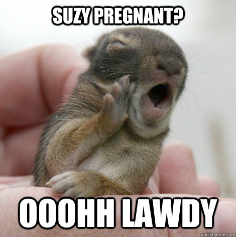 suzy pregnant ooohh lawdy - Holler Bunny