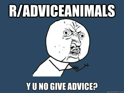 radviceanimals y u no give advice - Y U No