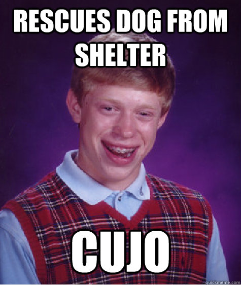 rescues dog from shelter cujo - Bad Luck Brian