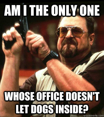 am i the only one whose office doesnt let dogs inside - Angry walter