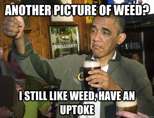 another picture of weed i still like weed have an uptoke - Upvoting Obama