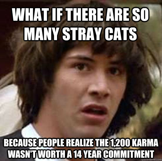 what if there are so many stray cats because people realize - conspiracy keanu