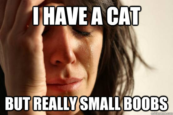 i have a cat but really small boobs - First World Problems