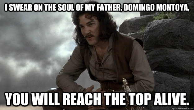 i swear on the soul of my father domingo montoya you will - Good guy Inigo Montoya