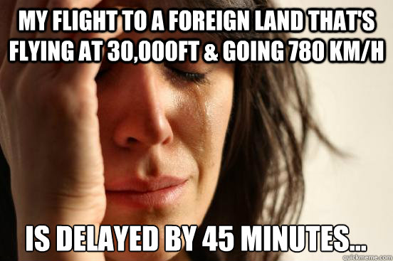 my flight to a foreign land thats flying at 30000ft goin - First World Problems