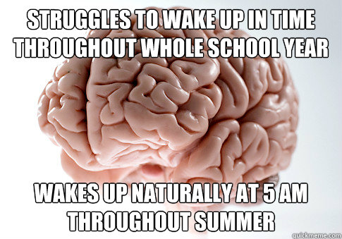 struggles to wake up in time throughout whole school year wa - Scumbag Brain