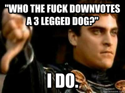 who the fuck downvotes a 3 legged dog i do - Downvoting Roman