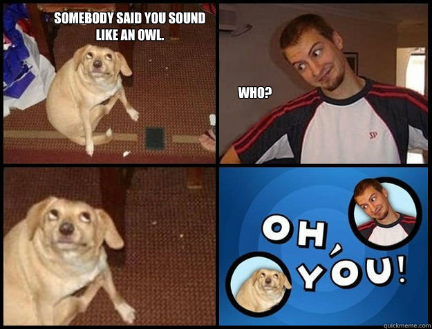 somebody said you sound like an owl who - Oh you!