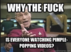why the fuck is everyone watching pimplepopping videos - Annoyed Picard