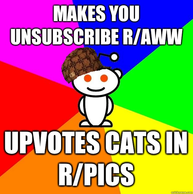 MAKES YOU UNSUBSCRIBE RAWW UPVOTES CATS IN RPICS - Scumbag Redditor