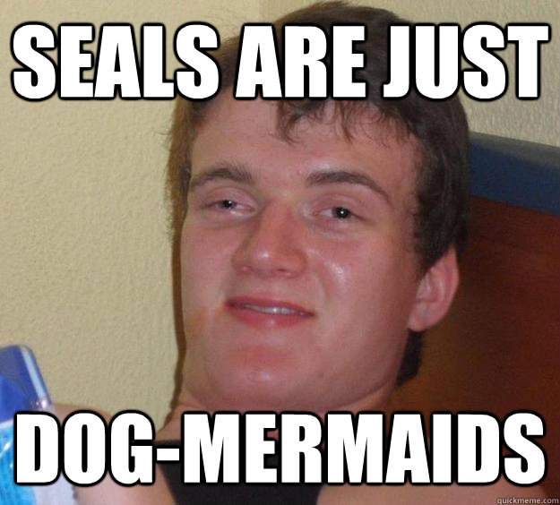 seals are just dogmermaids - 10 Guy