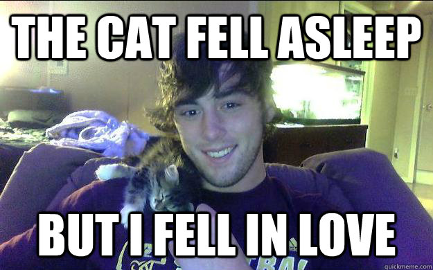 the cat fell asleep but i fell in love -