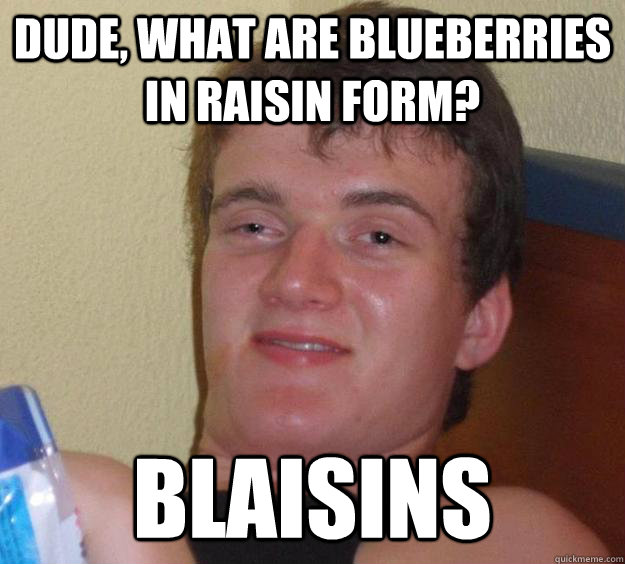 dude what are blueberries in raisin form blaisins - 10 Guy