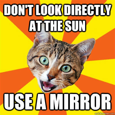 dont look directly at the sun use a mirror - Bad Advice Cat