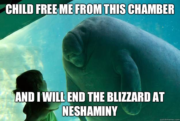 Child free me from this chamber and i will end the blizzard - Overlord Manatee