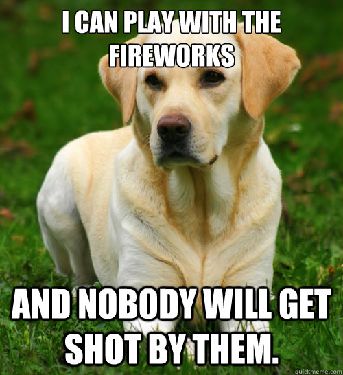 i can play with the fireworks and nobody will get shot by th - Dog Logic