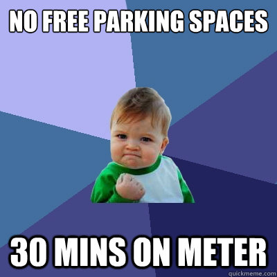 no free parking spaces 30 mins on meter - Success Kid