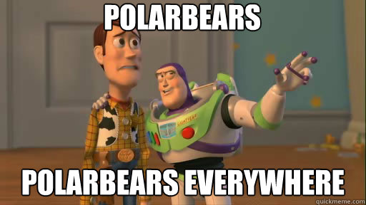 polarbears polarbears everywhere - Everywhere