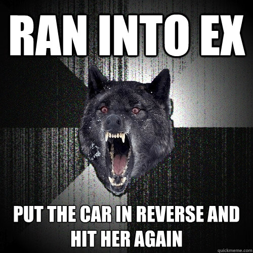 ran into ex put the car in reverse and hit her again - Insanity Wolf