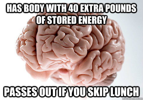 has body with 40 extra pounds of stored energy passes out if - Scumbag Brain
